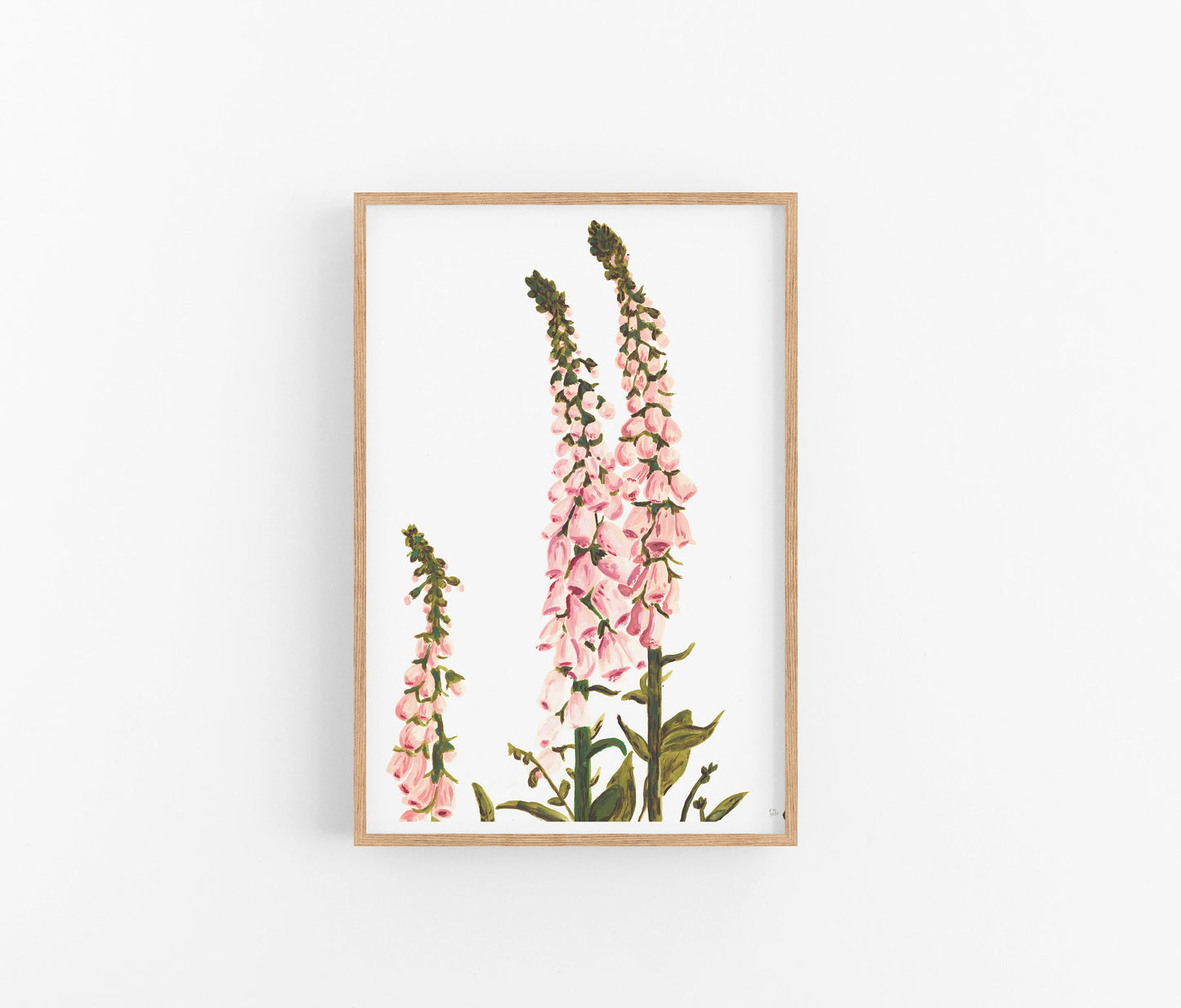 Floxgloves | A4 Print