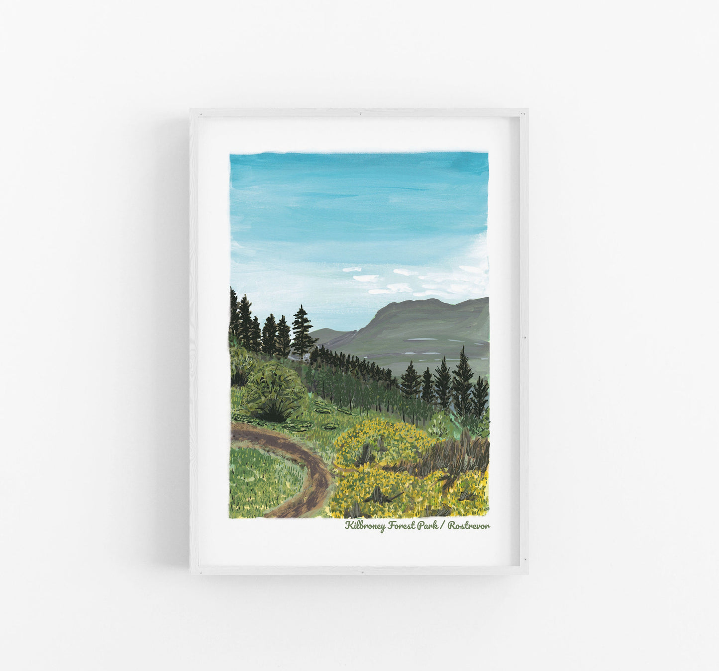 Kilbroney Forest Park | Rostrevor | Northern Ireland | Digital A4 Print