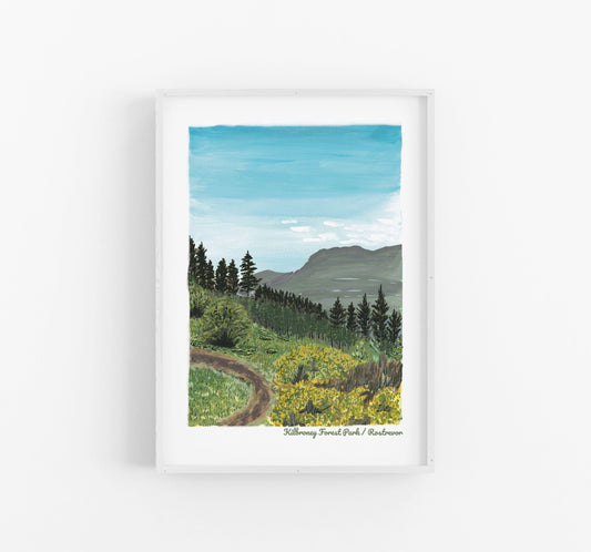 Kilbroney Forest Park | Rostrevor | Northern Ireland | Digital A4 Print