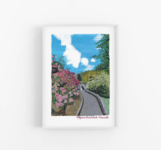 Tollymore Forest Park | Newcastle  | Northern Ireland | Digital A4 Print